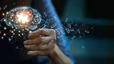 Das Foto zeigt die Montage eines Gehirns