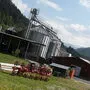 Dieser Putenbetrieb muss 2018 schließen
