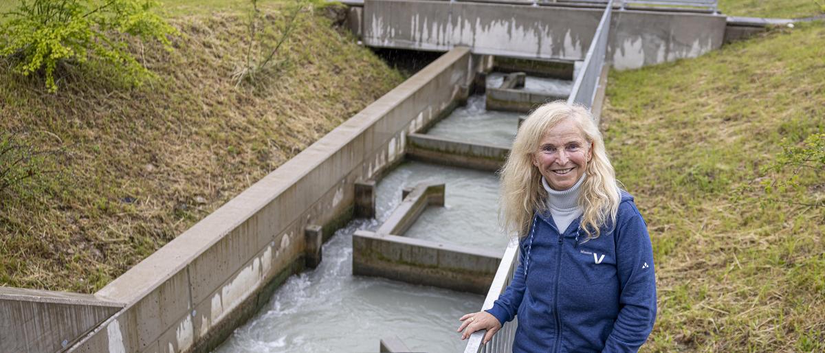 Projektleiterin Sabine Käfer bei der jüngsten Fischwanderhilfe Kärntens, jener beim Verbund-Kraftwerk Feistritz-Ludmannsdorf