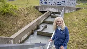 Fischwanderhilfe Fischtreppe Verbund Kraftwerk Feistritz in Ludmannsdorf Mai 2024