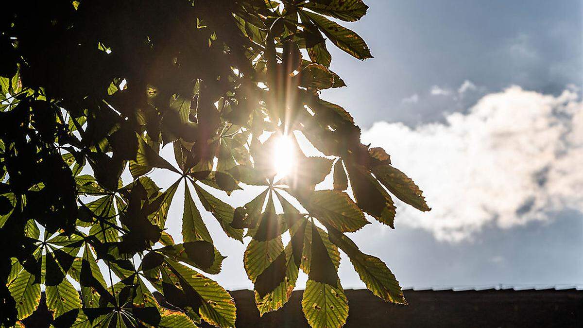 In Oberkärnten dominiert die Sonne. Die Temperaturen erreichen aber nicht mehr als 16 Grad