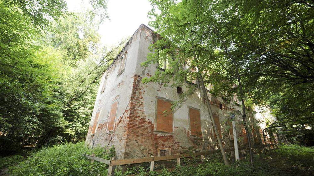 In einigen Jahren könnte die heutige Ruine ein Gebäude der Karl-Franzens-Uni mit Wohneinheiten, Seminarräumen und einem Veranstaltungssaal sein. 