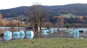 Die Uferbereiche entlang der Mur sind geflutet