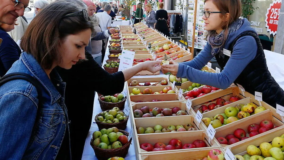 Am 10. Oktober können in der Herrengasse 250 alte Sorten begutachtet (und verkostet) werden.