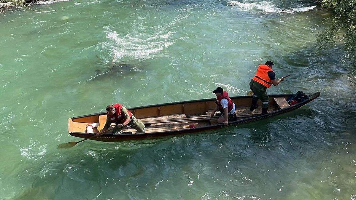 Wasserrettung, Polizei, Hubschrauber, Suchhunde, Feuerwehr und Bergretter - alle sind im Einsatz