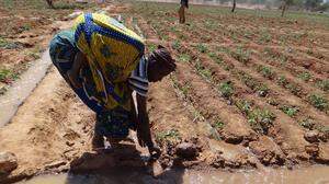 Landwirtschaftsprojekte erleichtern Menschen ihr Leben