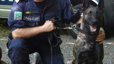 Der Diensthundeführer, in dessen Auto Polizeihund &quot;Zorro&quot; gestorben ist, wurde innerhalb der Polizei versetzt.