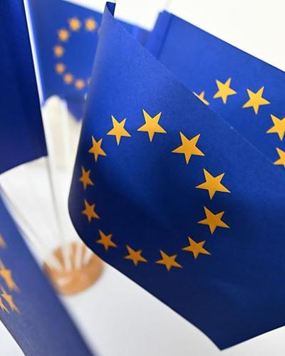 EU-Flaggen | Österreich gehört zu den besonders EU-skeptischen Mitgliedstaaten.
