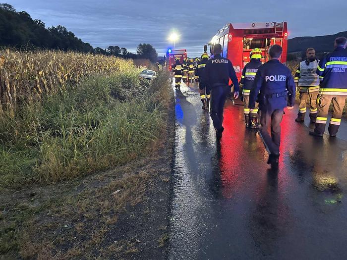 Die Feuerwehren Dirnbach und Hof bei Straden waren mit 31 Einsatzkräften vor Ort