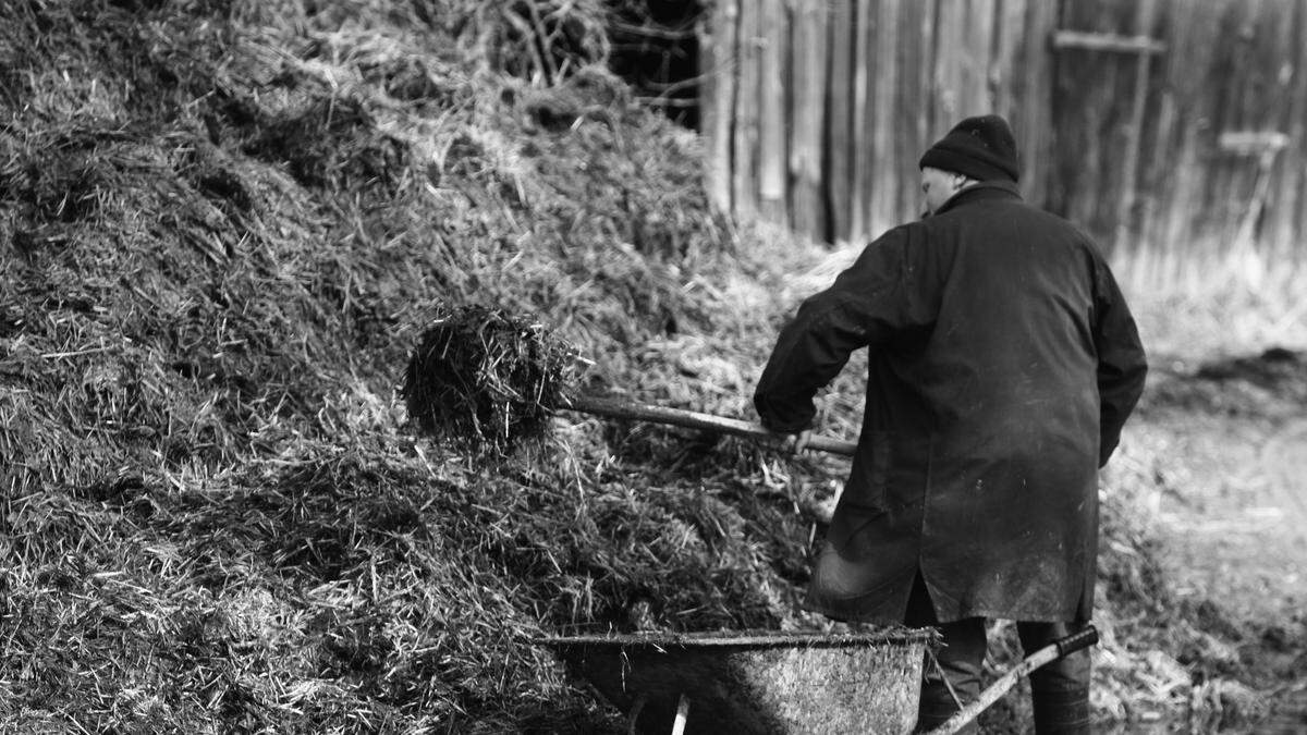 Der Bauer war nicht nur an seiner Arbeit interessiert (Sujet)