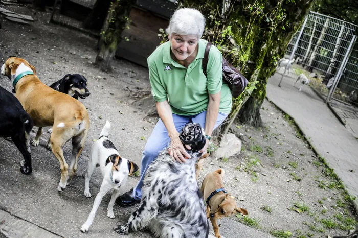 Maria Lubenka vom Faaker See hat eine Katze aus dem Garten Eden adoptiert und bringt immer wieder Spenden vorbei.