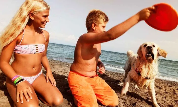 Hunde können in Lignano Sabbiadoro gleich in drei Strandbädern Spaß haben und sich austoben