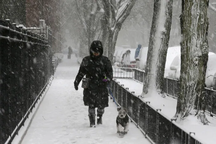 In der Gegend um die Metropole Chicago am Lake Michigan lag der Schnee schon in der Nacht auf Montag stellenweise mehr als 25 Zentimeter hoch.