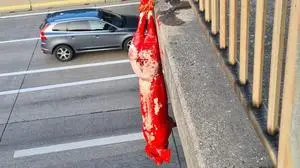 Ein rot angemaltes Schwein wurde auf der Autobahnbrücke in Seiersberg aufgehängt