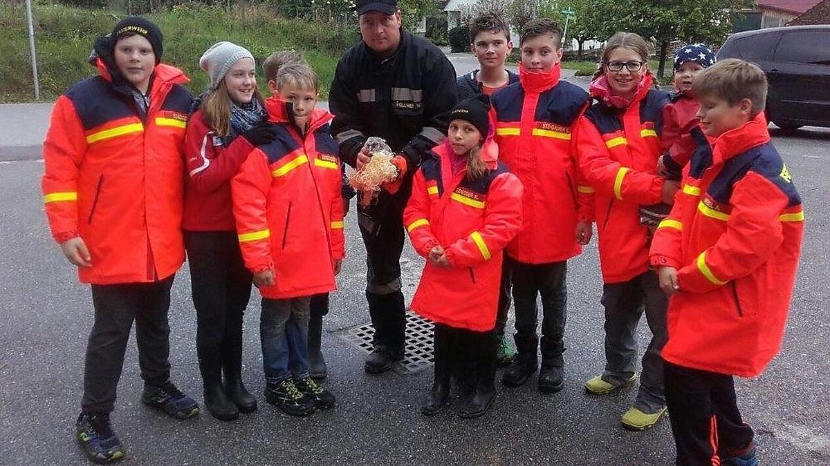 Der kleine Waldkauz wurde gerettet