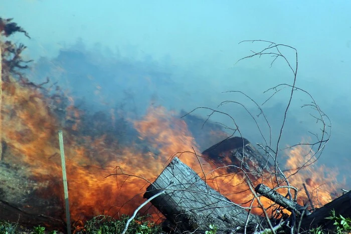 Inzwischen waren über 30 Feuerwehren im Einsatz.