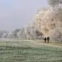 Frost Scenery in Civray-de-Touraine - France France, Indre-et-Loire 37, Civray-de-Touraine, winter frost and hoarfrost on the foliage of vegetation lining the Cher cycle path, on January 4, 2026. Photo by Pascal Avenet/ABACAPRESS.COM Civray-de-Touraine Indre-et-Loire 37 France PUBLICATIONxNOTxINxFRAxUK Copyright: xAvenetxPascal/ABACAx