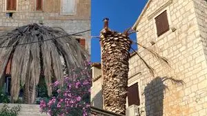 Für Palmen könnte es knapp werden.