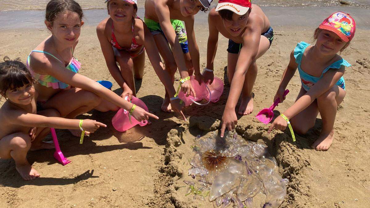 Kinder sammelten einige tote Quallen in Bibione ein