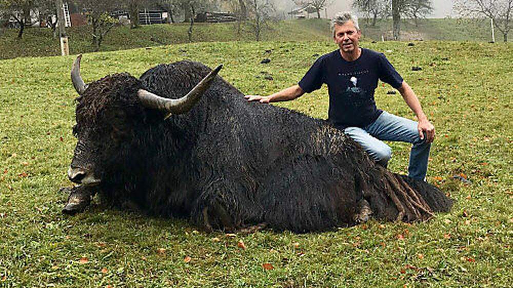 Schaunig ist stolz auf seine Yak-Rinder. Sie halten sich das ganze Jahr über im Freien auf