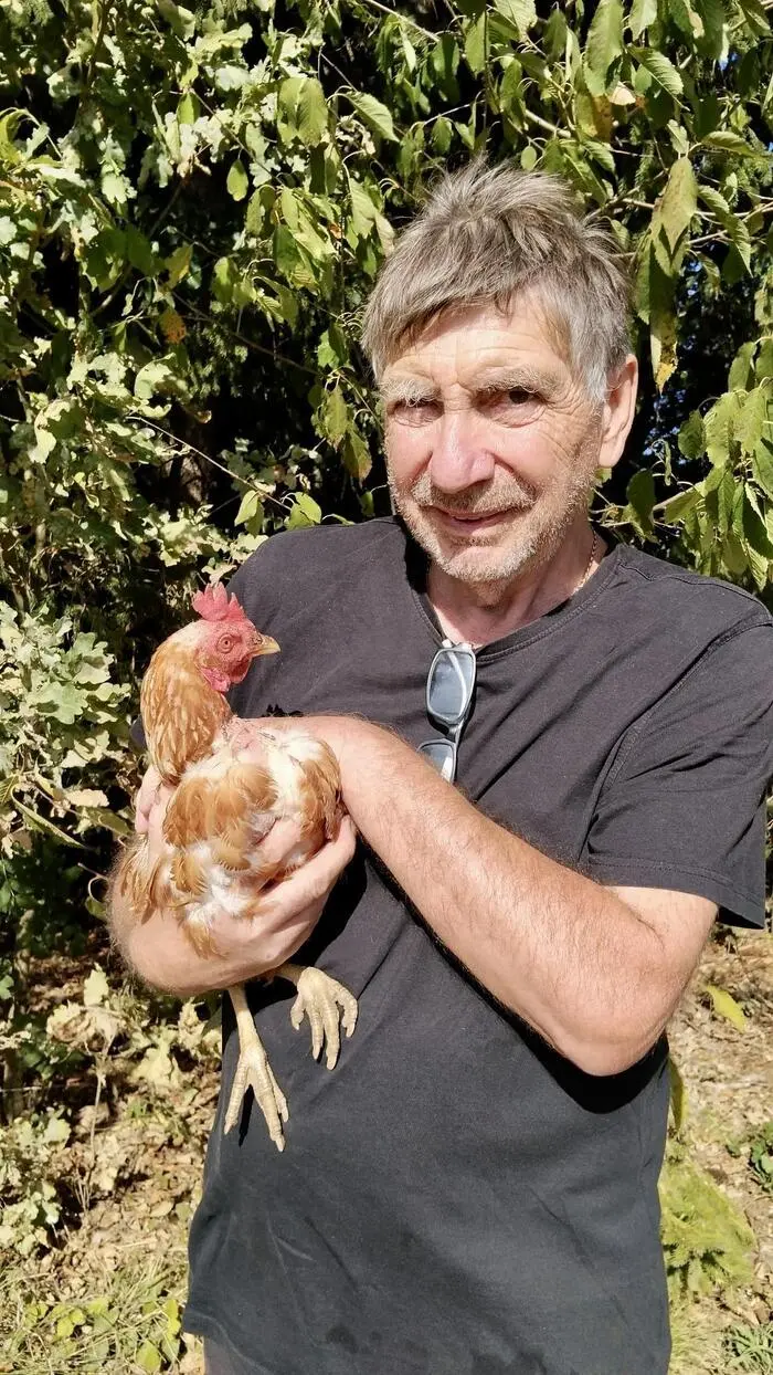 Helmut Meyer aus Schrötten in Hengsberg hat sieben Legehennen aufgenommen – insgesamt leben bei ihm und seiner Frau Heidelinde mittlerweile rund 47 Hühner