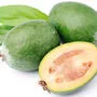 Brasilianische oder Ananas-Guave: Die Feijoa