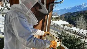 Alexander Mitter bei seinem Bienenstock mit Aussicht in Oberdrauburg 