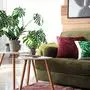 Soft couch with green plants in interior of living room