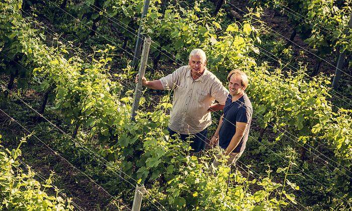 Sem Kegley und Georg Lexer bauen auf 9,5 Hektar Wein an
