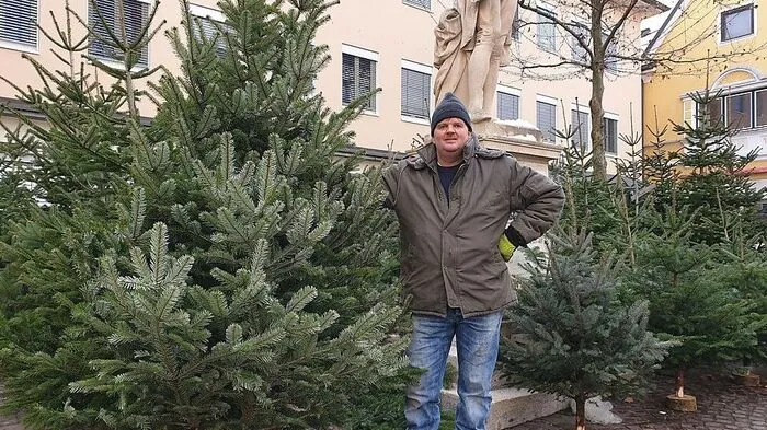 Manfred Ploner verkauft Christbäume am Kaiser-Josef-Platz