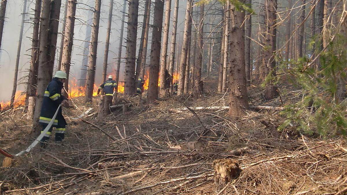 Derzeit besteht enorme Brandgefahr in den Wäldern