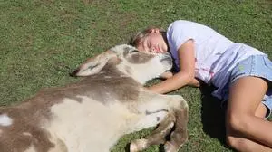 Ein entspannender Ausflug im Eselpark Maltatal