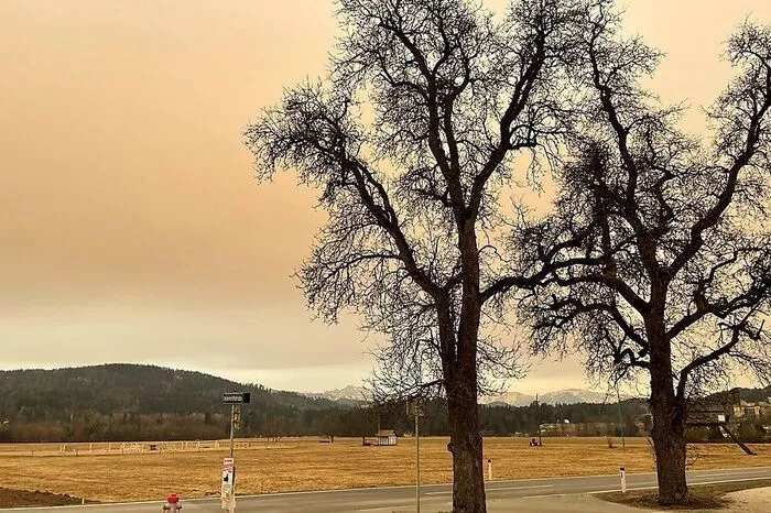 Leserin Rosemarie Kelz hat den gelb gefärbten Himmel über Seltenheim fotografiert.