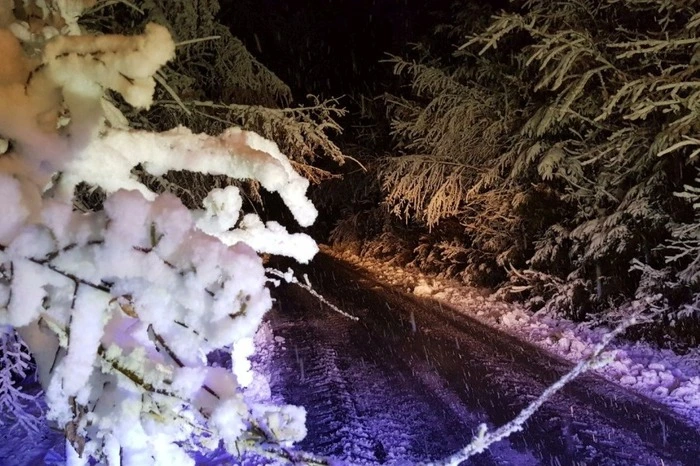 Bäume, die auf den Straßen lagen wurden mit der Kettensäge entfernt.