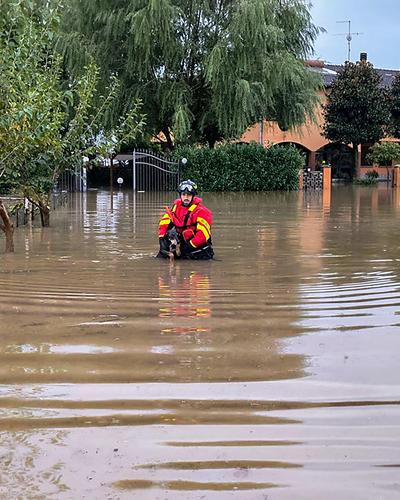 Vor allem die Großstadt Bologna und ihr flaches Umland, aber auch die Mittelmeerinsel Sizilien, wurden von den massiven Regenfällen hart getroffen