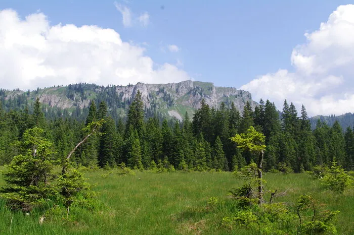 Das Naßköhr ist in eine herrliche Landschaft eingebettet.