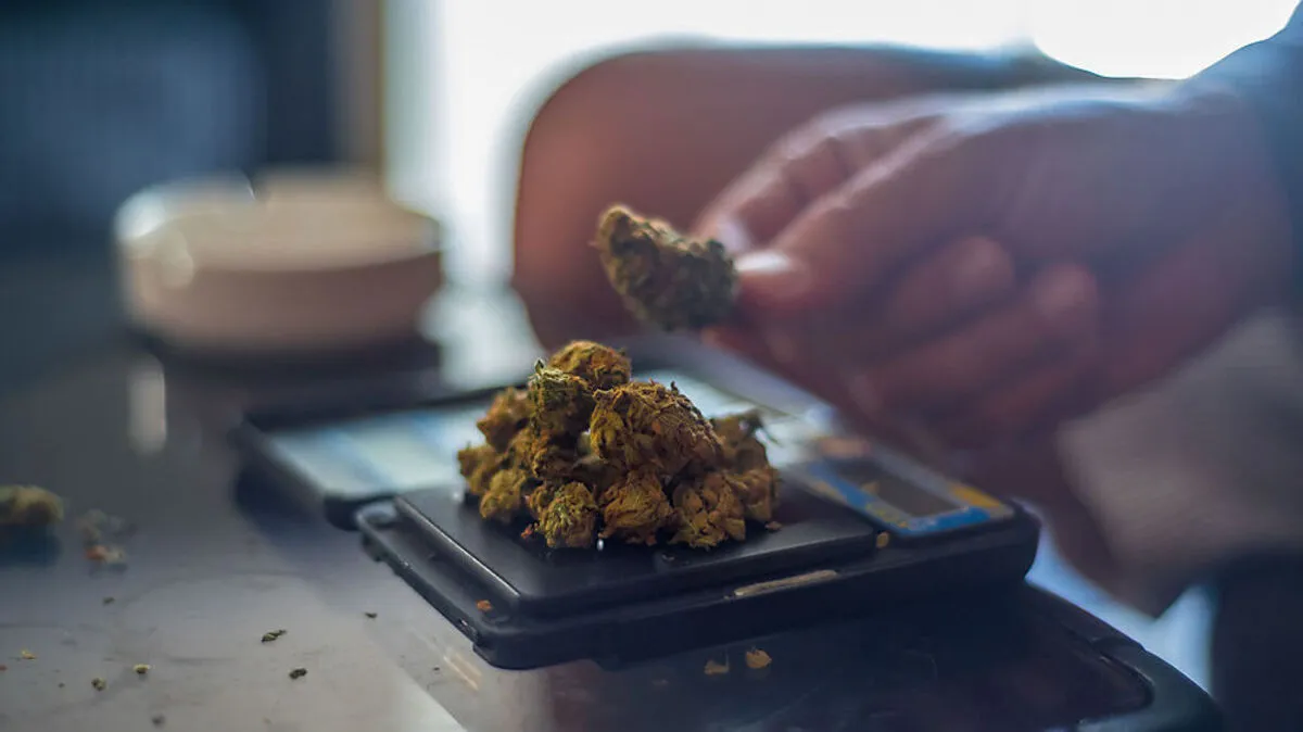 im Darknet organisierte sich der Verdächtige die Cannabisprodukte, um sie weiterzuverkaufen