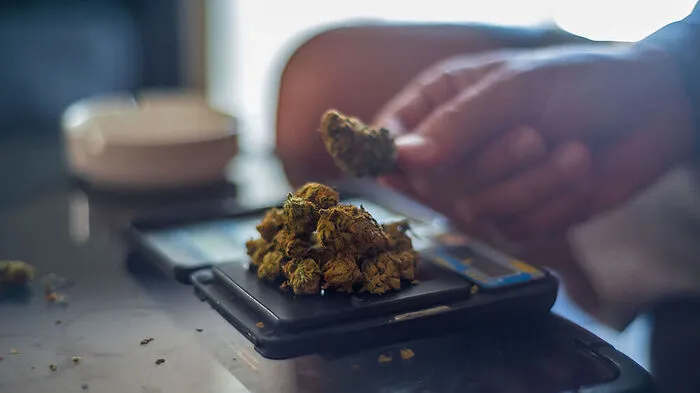 im Darknet organisierte sich der Verdächtige die Cannabisprodukte, um sie weiterzuverkaufen