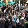 Am 9. April verwandelt sich der Leibnitzer Hauptplatz in eine große Fahrradbörse