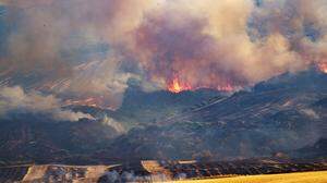 In Apulien im  Süden des italienischen Stiefels wüteten nahe der Stadt Gravina tagelang Waldbrände