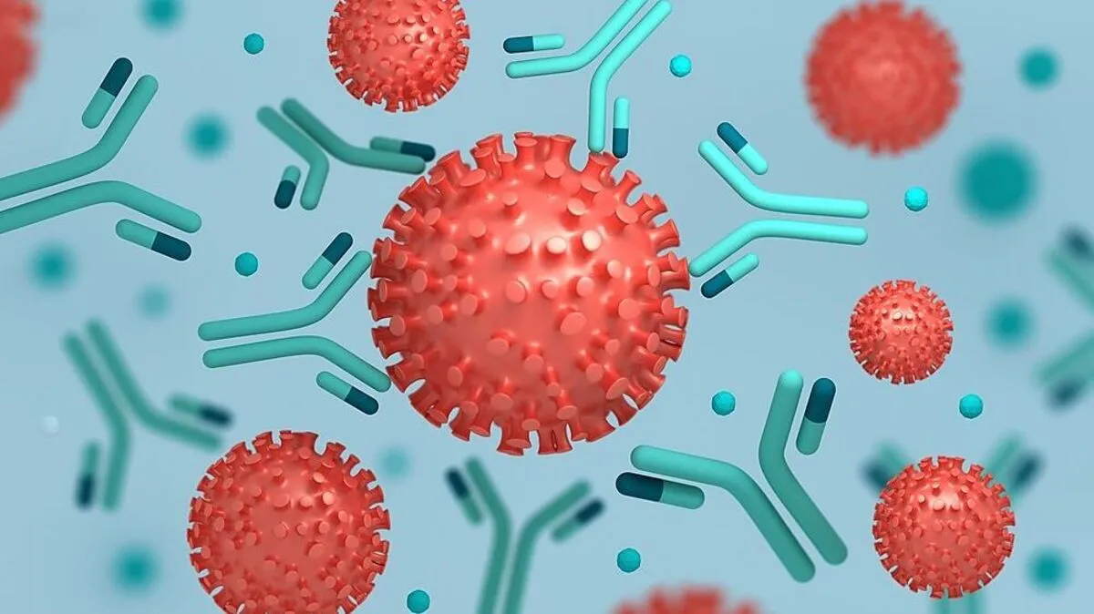 Wie groß ist der Anteil der bereits Immunen in Österreich?