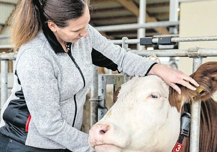 Wenn es den Kühen gut geht, stimmt auch die Milchqualität und die Bäuerin ist zufrieden