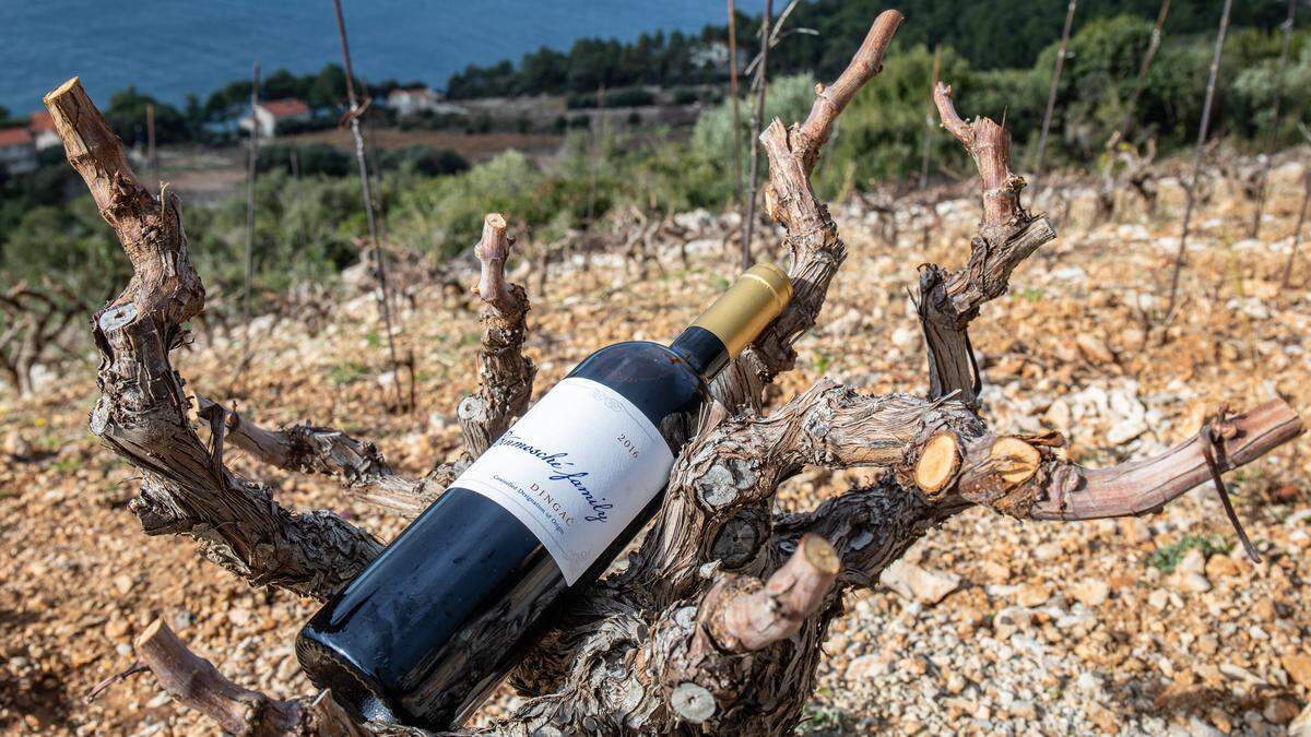Edler Tropfen: Dieser kroatische Wein wurde bei der Amtseinführung von US-Präsident Joe Biden serviert