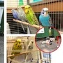 Der Mitarbeiterin der Tierrettung Kärnten zeigte sich bei der Müllinsel in St. Stefan bei Wolfsberg „ein erschreckendes Bild“