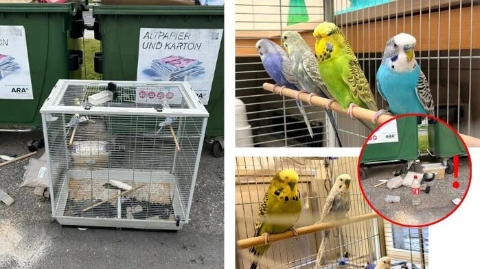 Der Mitarbeiterin der Tierrettung Kärnten zeigte sich bei der Müllinsel in St. Stefan bei Wolfsberg „ein erschreckendes Bild“