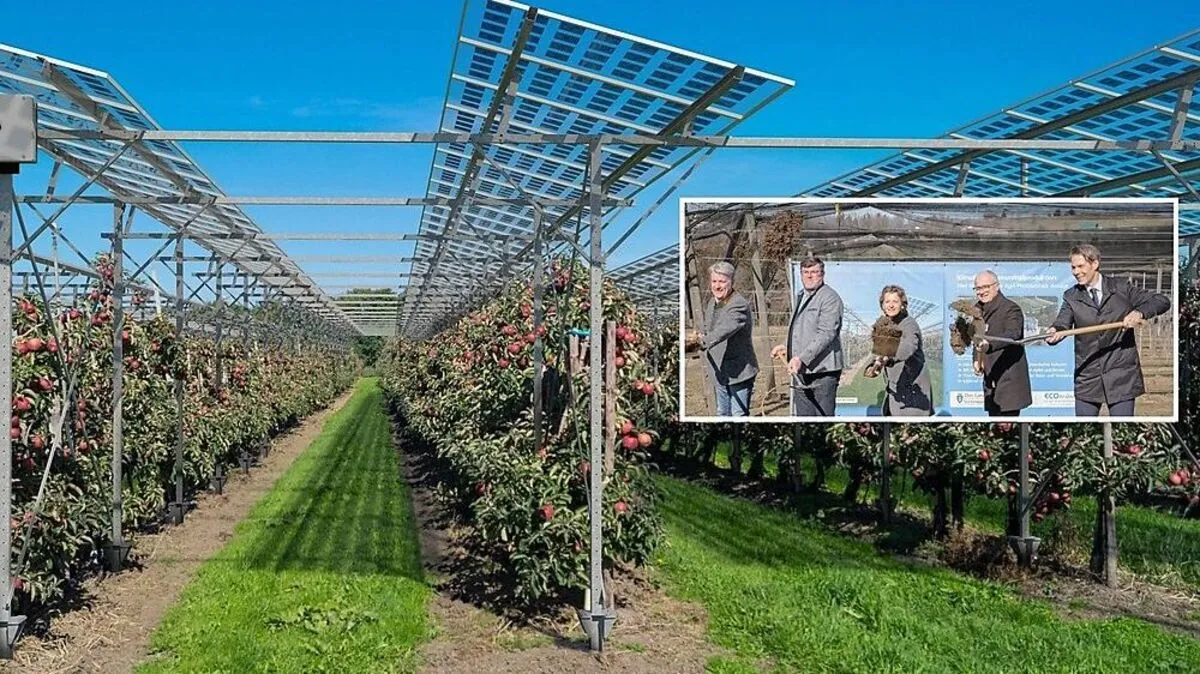 So soll die „Agri-Fotovoltaikanlage“ einmal aussehen. Johann Janker, Leo Steinbauer, Ursula Lackner und Hans Seitinger gaben gestern den Startschuss