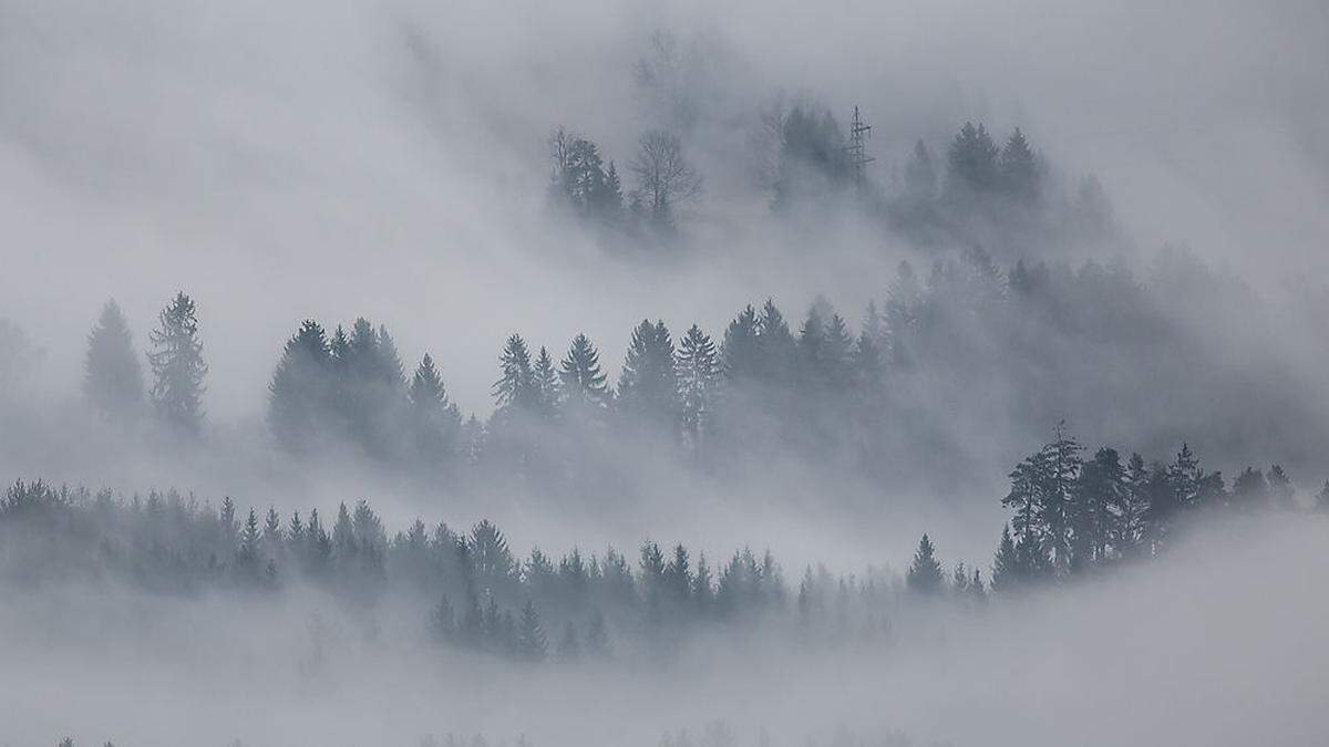 Zähe Hochnebelfelder werden erwartet