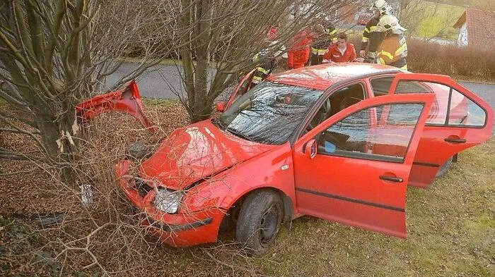 Der Ausritt auf der B72 endete in einem Strauch