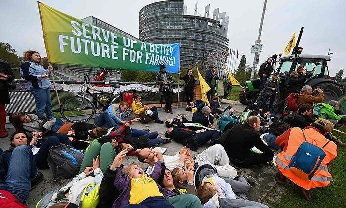 Deutsch-französische Bauerndemo vor dem EU-Parlament in Straßburg. Mit dabei übrigens auch die österreichische Grünen-Abgeordnete Sarah Wiener