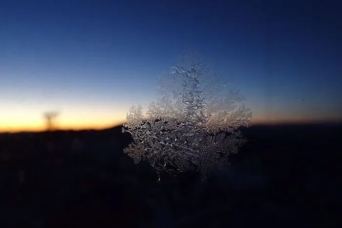 Eisblumen am Fenster der Zamg-Außenstelle am Dobratsch